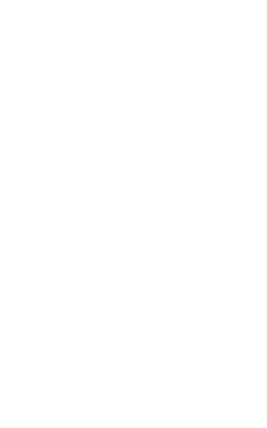Logo vertical poloballs w Logo vertical poloballs w