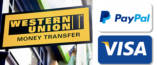pago payments paypal visa poloballs_blanco